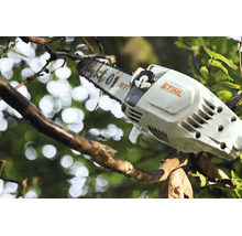 Stihl Motorsäge beim Baumrückschnitt mit Light 01 Führungsschiene in der Natur.