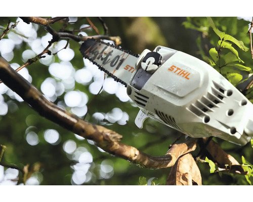 Stihl Motorsäge beim Baumrückschnitt mit Light 01 Führungsschiene in der Natur.