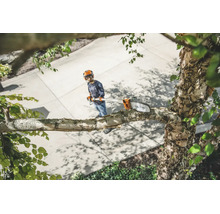Eine Person mit Schutzausrüstung benutzt einen Stihl Hochentaster, um einen Ast an einem Birkenbaum zu stutzen.