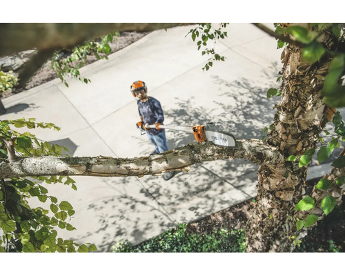 Eine Person mit Schutzausrüstung benutzt einen Stihl Hochentaster, um einen Ast an einem Birkenbaum zu stutzen.