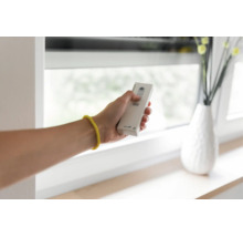 Eine Hand hält eine Fernbedienung zur Steuerung von Jalousien oder Rolläden vor einem Fenster.