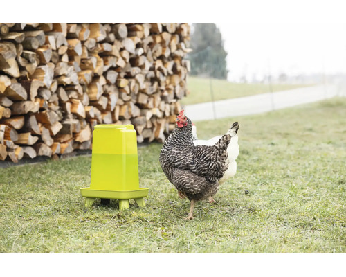 Eine Geflügeltränke aus Kunststoff auf einer Wiese mit einem Huhn vor einem Holzhaufen im Garten.