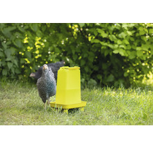 Geflügeltränke aus Kunststoff mit Tränkschale auf einer Wiese mit Huhn