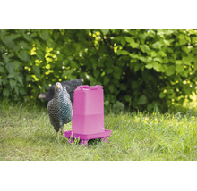 Eine Hühnertränke aus Kunststoff steht auf einer Wiese im Garten neben einem gestreiften Huhn.