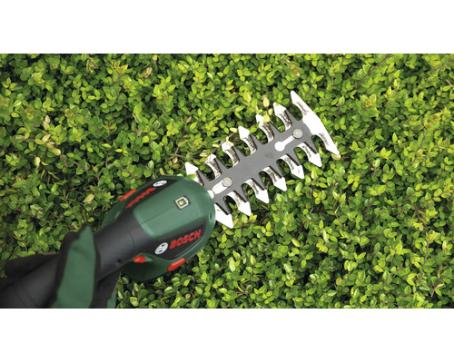 Eine Bosch Akku Heckenschere schneidet eine Hecke im Garten.