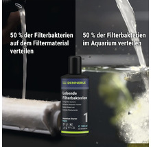 Dennerle Aquarium Starter flüssige Filterbakterien 100 Milliliter Flasche mit Anwendungshinweisen zur Verteilung im Aquarium