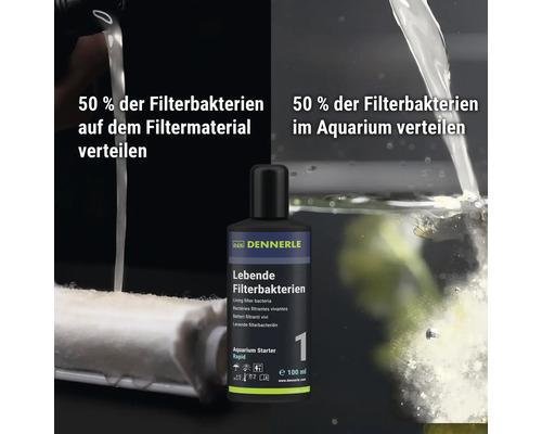 Dennerle Aquarium Starter flüssige Filterbakterien 100 Milliliter Flasche mit Anwendungshinweisen zur Verteilung im Aquarium