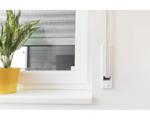 Ein Gurtwickler für Rollläden ist flach auf einer Wand neben einem Fenster mit Fensterbank und einer Zimmerpflanze montiert.