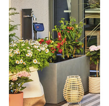 Gardena Bewässerungscomputer an einem Wasserhahn auf einer Terrasse mit Blumenkübeln und Gemüsepflanzen.