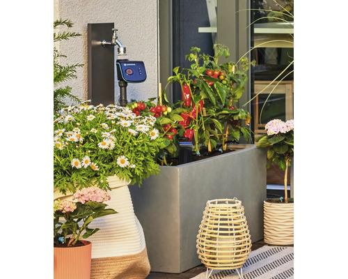 Gardena Bewässerungscomputer an einem Wasserhahn auf einer Terrasse mit Blumenkübeln und Gemüsepflanzen.