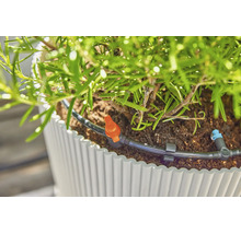 Bewässerungssystem mit Tropfer und Absperrventil in einem Blumentopf mit Rosmarin