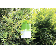 Eine Insektenfalle hängt in einem grünen Gartenbusch zur biologischen Schädlingsbekämpfung im Außenbereich.