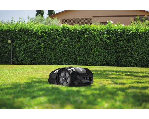 Rasenmähroboter auf Rasenfläche im Garten