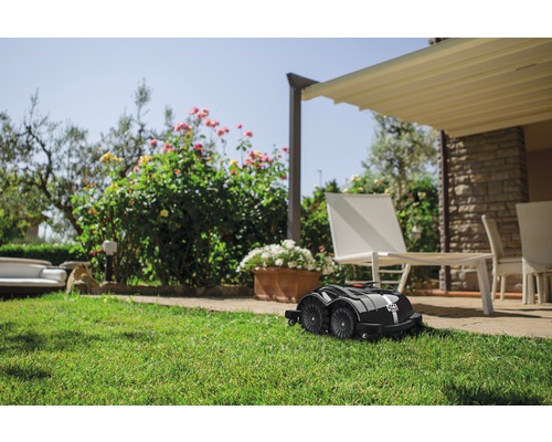 Rasenmähroboter auf Rasen vor Terrasse und Garten
