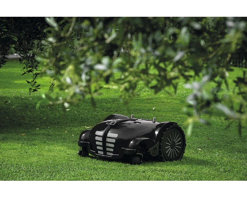 Schwarzer Rasenmähroboter auf Rasenfläche im Garten