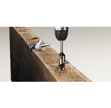 Akku-Bohrhammer WORX 20V H3 1,5 Joule, SDS WX394.91, ohne Akku und Ladegerät