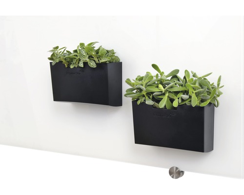 Zwei schwarze Wand Blumentöpfe mit Pflanzen an einer Wand befestigt