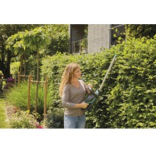 Frau schneidet Hecke mit Heckenschere im Garten.