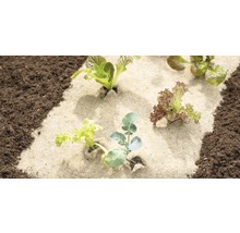 Gemüsegarten mit Pflanzfolie und verschiedenen Gemüsesorten