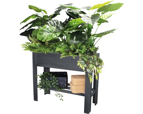 Hochbeet mit Ablagefläche und verschiedenen Pflanzen