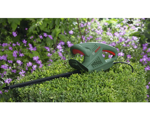 Bosch Heckenschere auf Buchsbaum vor Blumen