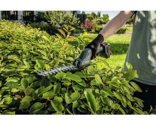 Akku-Heckenschere im Einsatz zum Schneiden einer Hecke