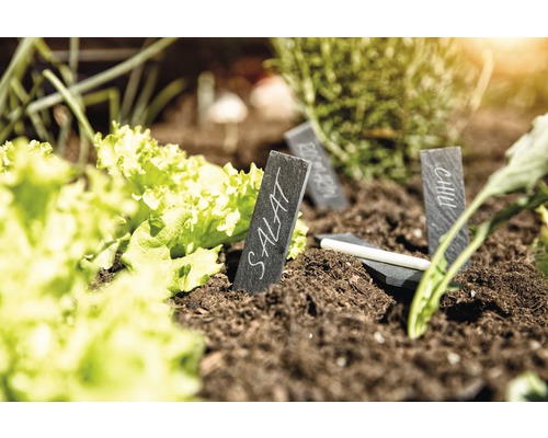 Gemüsegarten mit Salat, Kräutern und beschrifteten Schiefertafeln