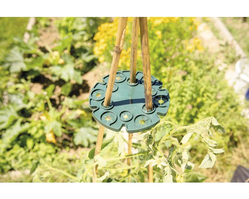 Bambusstabhalter im Garteneinsatz zur Pflanzenstützung