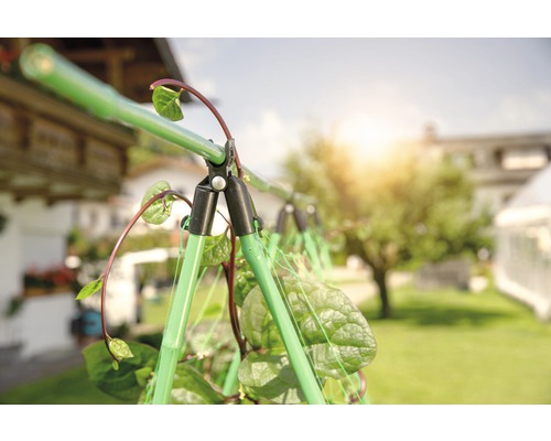Kletterhilfe für Pflanzen im Garten