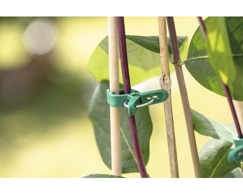 Pflanzenklammer zur Befestigung an Pflanzenstäben