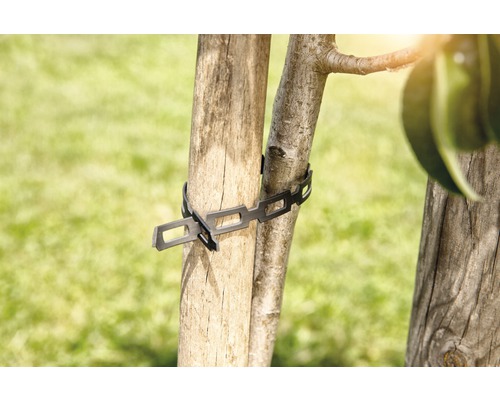 Baumbinder zur Fixierung junger Bäume