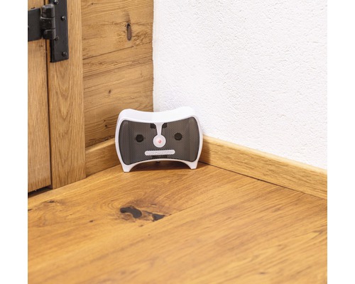 Elektronischer Mäusevertreiber für Innenräume neben einer Tür und einer Wand