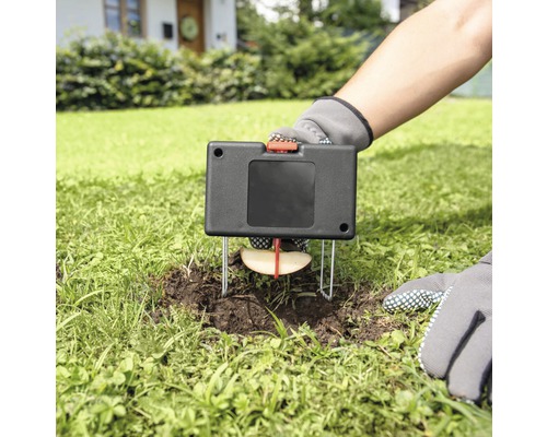 Aufgestellte Wühlmausfalle mit Apfelstück als Köder im Garten