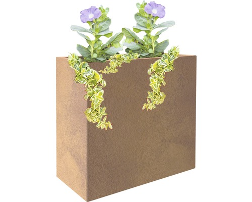 Blumenkasten mit lila Blüten und Rankpflanzen