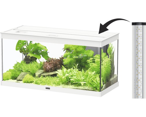 Weißes Aquarium mit Bepflanzung und LED-Leuchte