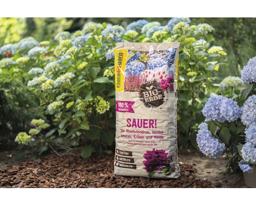 Sack mit saurer Pflanzenerde für Rhododendren, Heidelbeeren, Eriken und Heide