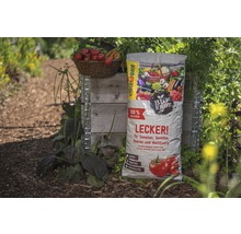 Floragard Bio-Erde Sack im Gartenbeet neben einem Korb mit Tomaten