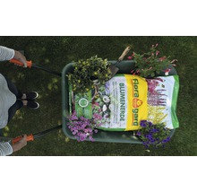 Eine Schubkarre gefüllt mit Blumenerde, Gartenwerkzeug und verschiedenen Topfpflanzen.