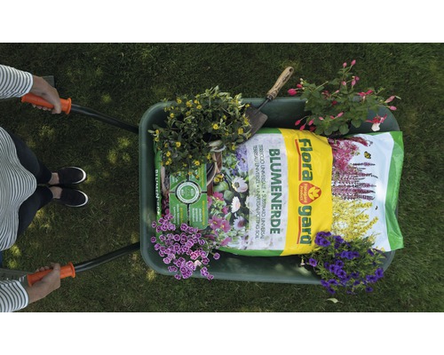 Eine Schubkarre gefüllt mit Blumenerde, Gartenwerkzeug und verschiedenen Topfpflanzen.