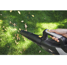 Eine Person benutzt einen Akku-Laubbläser im Garten.