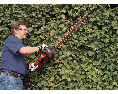 Ein Mann schneidet eine Hecke mit einer elektrischen Heckenschere.