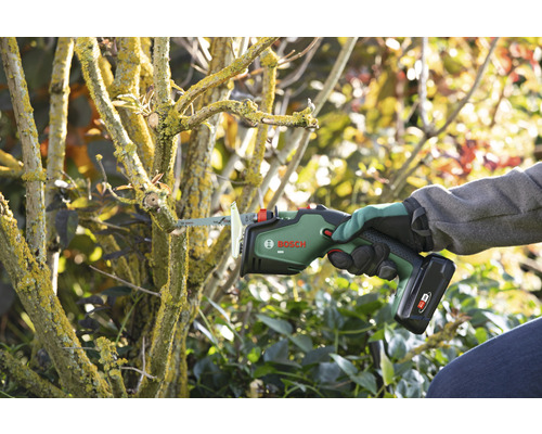 Gartenszene mit einer Person, die mit einer Bosch Akku-Gartensäge einen Ast schneidet