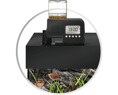Aquarium mit Futterautomat zur automatischen Fütterung der Fische