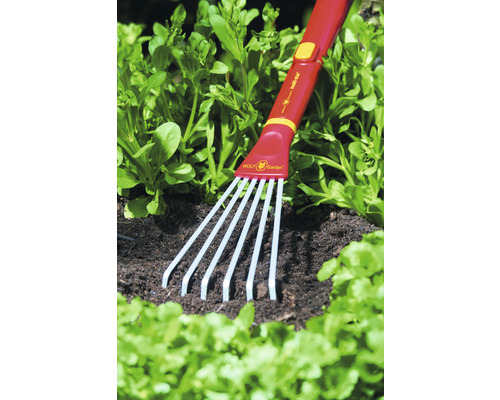 Wolf Garten Fächerbesen im Beet mit Salatpflanzen