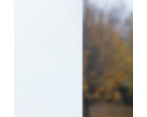 Fensterfolie mit Sichtschutz