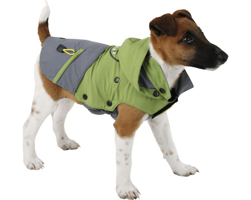 Hund mit grüner und grauer Hundejacke