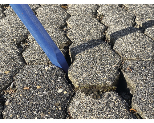 Blaue Fugenbürste reinigt Pflastersteine