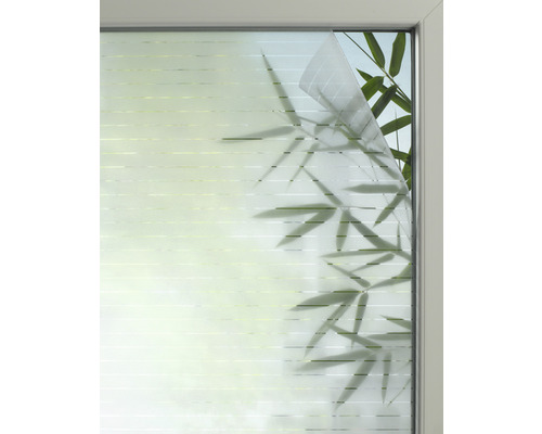 Fenster mit dekorativer Sichtschutzfolie