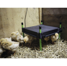 Wärmeplatte KERBL CosyHeat für Küken 30 x 30 cm