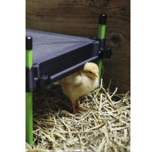 Wärmeplatte KERBL CosyHeat für Küken 30 x 30 cm